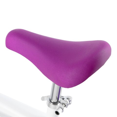RB102 WHITE ROWEREK BIEGOWY NILS FUN RB102 WHITE ROWEREK BIEGOWY NILS FUN