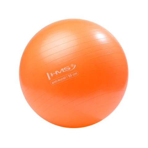 YB02 NEW 55CM ORANGE ANTI-BURST PIŁKA GIMNASTYCZNA HMS YB02 NEW 55CM ORANGE ANTI-BURST PIŁKA GIMNASTYCZNA HMS