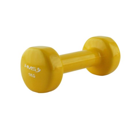 17023 CIĘŻAREK ŻELIWNY POKRYTY WINYLEM 1.0 KG HMS 17023 CIĘŻAREK ŻELIWNY POKRYTY WINYLEM 1.0 KG HMS