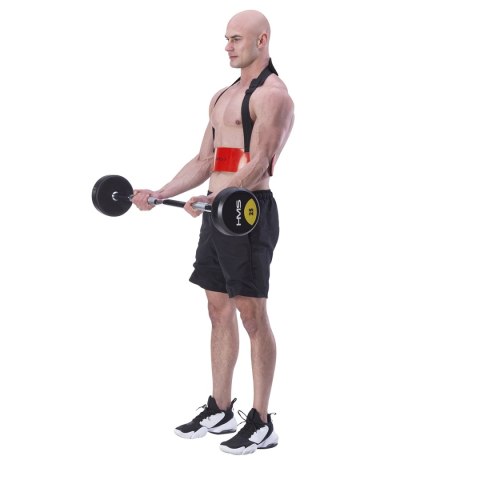 ABX02 ARM BLASTER PRZYRZĄD DO ĆWICZENIA BICEPSÓW HMS ABX02 ARM BLASTER PRZYRZĄD DO ĆWICZENIA BICEPSÓW HMS