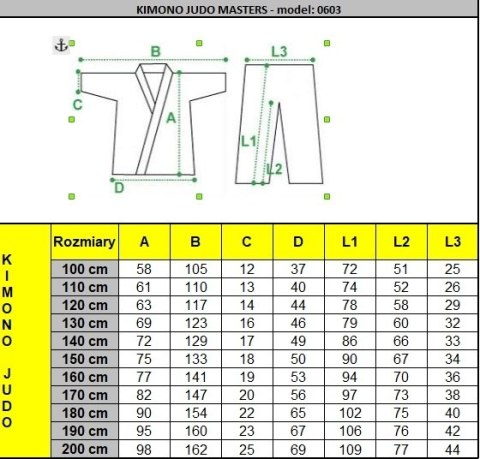 Kimono judo 450 gm MASTERS - 110 cm Kimono judo 450 gm MASTERS - 110 cm