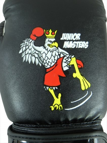Rękawice bokserskie MASTERS JUNIOR COLLECTION RPU-MJC